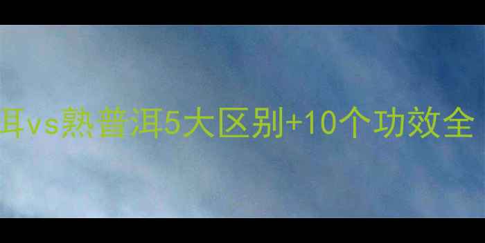 养生必看生普洱vs熟普洱5大区别10个功效全懒人喝出好气色