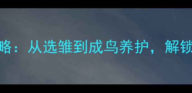图片 🎵画眉鸟养殖全攻略：从选雏到成鸟养护，解锁天然养生新方式🍵