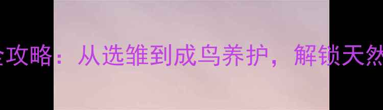 画眉鸟养殖全攻略从选雏到成鸟养护解锁天然养生新方式
