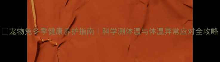 宠物兔冬季健康养护指南科学测体温与体温异常应对全攻略