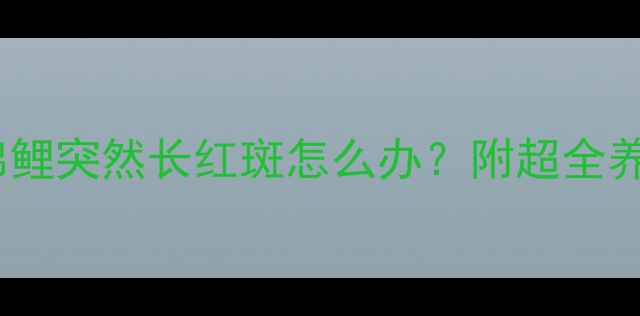 救命我家锦鲤突然长红斑怎么办附超全养鱼人必看指南