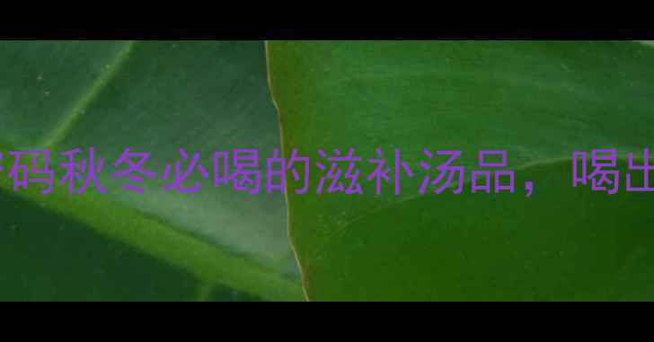 乌龟汤的养生密码秋冬必喝的滋补汤品喝出好气色好状态