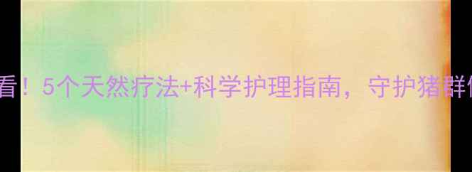 养殖户必看5个天然疗法科学护理指南守护猪群健康不踩坑
