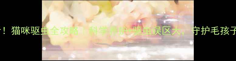 图片 🐾必看！猫咪驱虫全攻略｜科学养护+驱虫误区大，守护毛孩子健康1