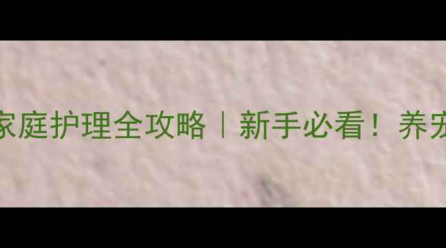 图片 🐾犬胃肠炎家庭护理全攻略｜新手必看！养宠人速存！🐶