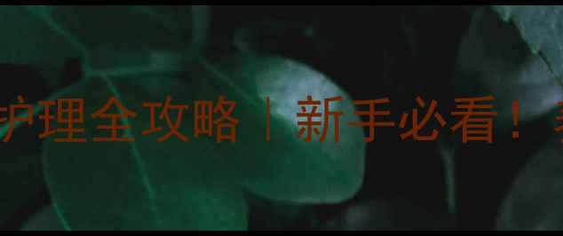 犬胃肠炎家庭护理全攻略新手必看养宠人速存