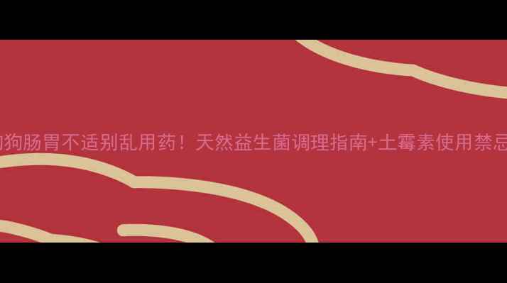 图片 🐾狗狗肠胃不适别乱用药！天然益生菌调理指南+土霉素使用禁忌全1