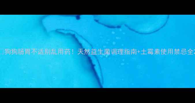 图片 🐾狗狗肠胃不适别乱用药！天然益生菌调理指南+土霉素使用禁忌全2