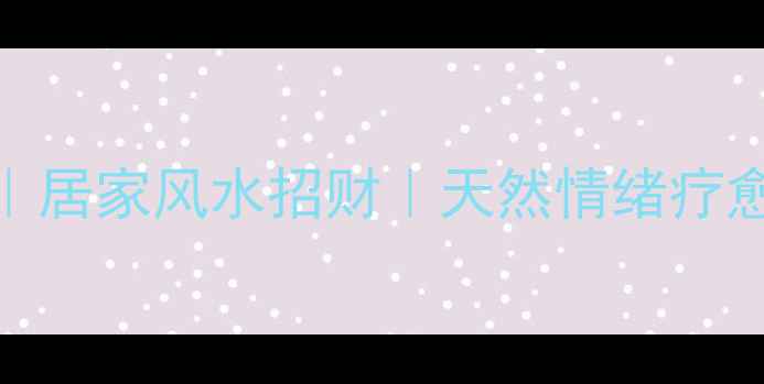 水培风信子养肝明目居家风水招财天然情绪疗愈指南附保姆级教程