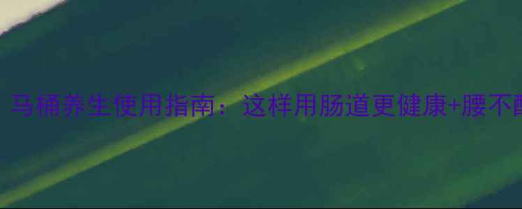 必看马桶养生使用指南这样用肠道更健康腰不酸了