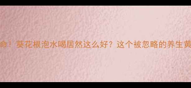 救命葵花根泡水喝居然这么好这个被忽略的养生黄金