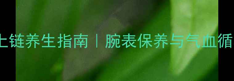 沛纳海手动上链养生指南腕表保养与气血循环的黄金法则