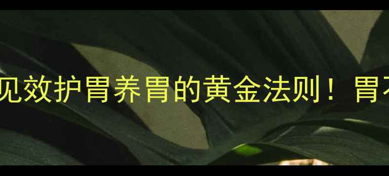 图片 🔥养胃食谱+7天见效护胃养胃的黄金法则！胃不好的人必看🌟1
