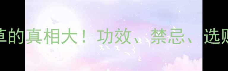 冬虫夏草的真相大功效禁忌选购攻略全