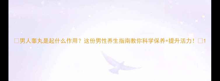 男人睾丸是起什么作用这份男性养生指南教你科学保养提升活力