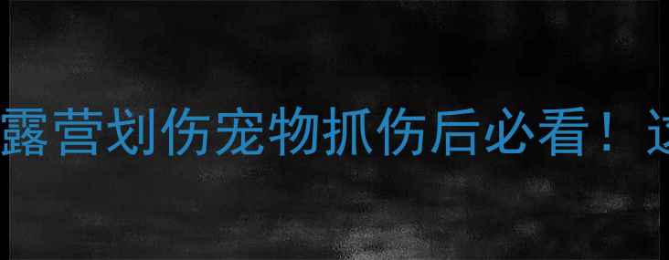 破伤风预防全攻略露营划伤宠物抓伤后必看这些误区千万别踩