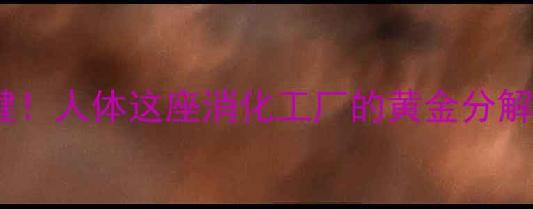 脂肪酶是减肥关键人体这座消化工厂的黄金分解术附养生食谱