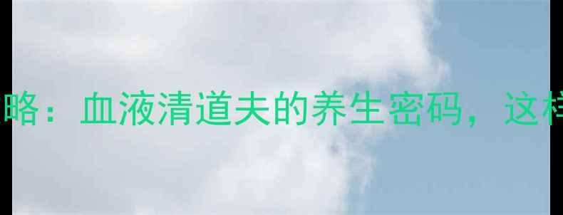 血小板健康全攻略血液清道夫的养生密码这样调养更长寿